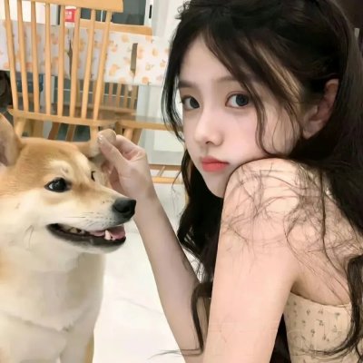 机智的公主殿下
